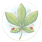 ����t�}���j�G���X��